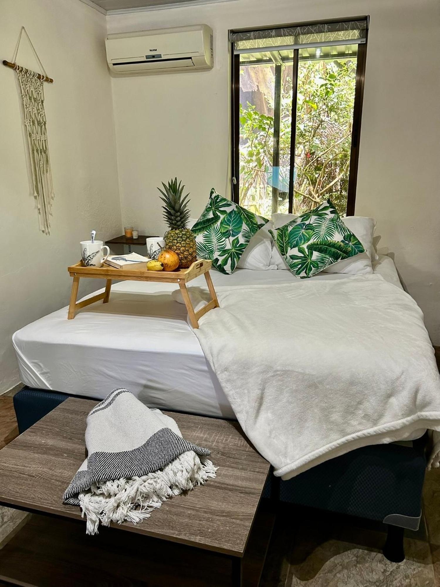 Boutique Rooms River Front At La Junta 多米尼克 外观 照片